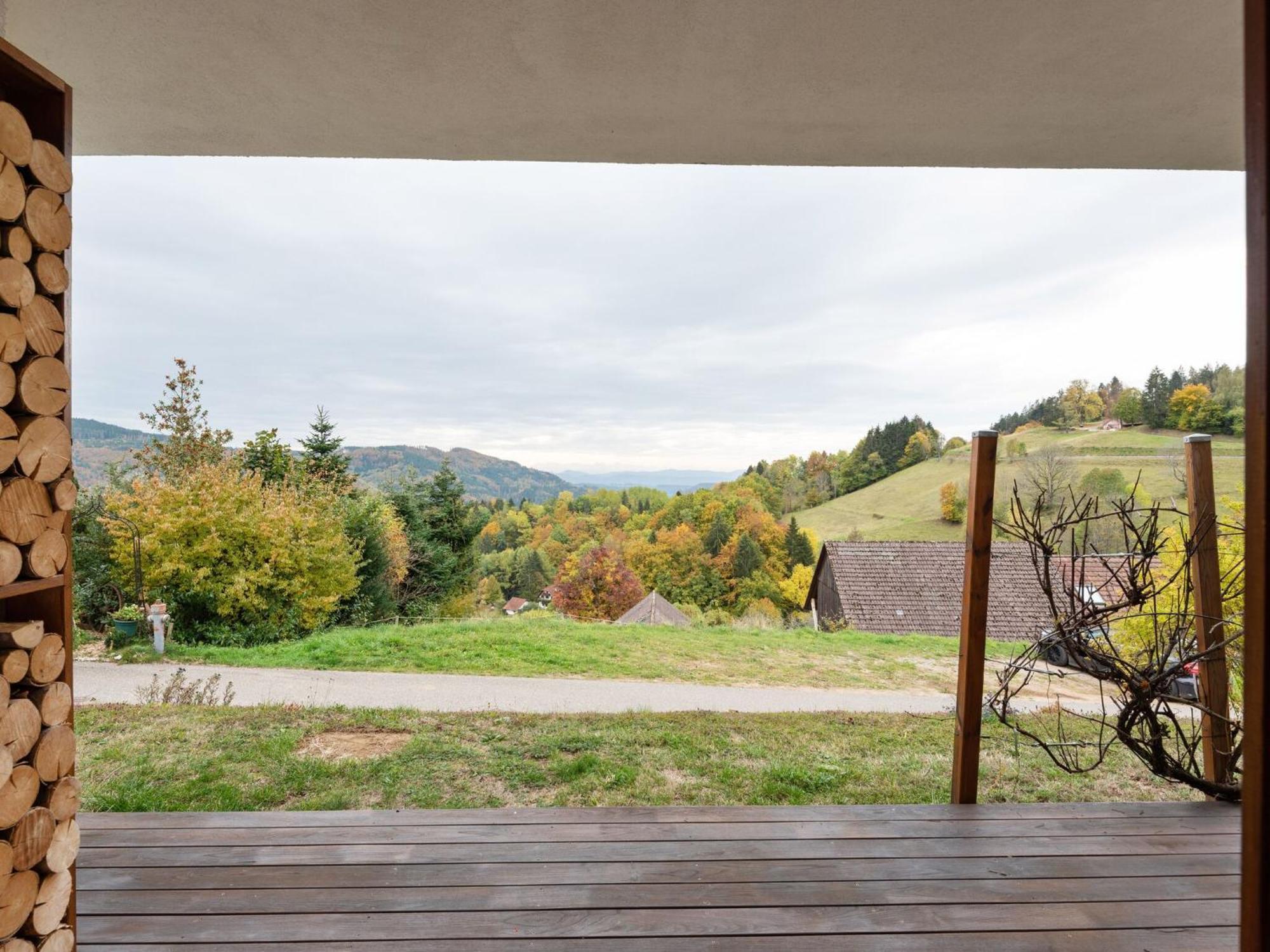 Apartment On The Edge Of The Forest Kleines Wiesental Luaran gambar